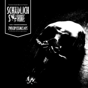 SCHÄDLICH & SÖHNE - Zweckpessimismus (2CD Digipak)